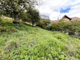 1759135748_VM377_12_original