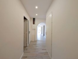 1773228873_VI070_13_original